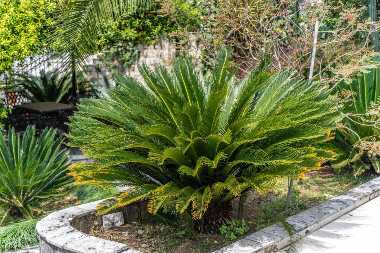 Villa Nautica Herceg Novi Exterior photo